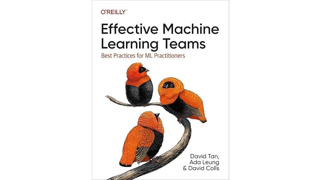 building successful ml teams