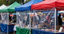 top waterproof canopy tents