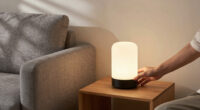 2 Best Home Night Lights In 2026